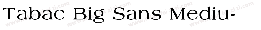 Tabac Big Sans Mediu字体转换